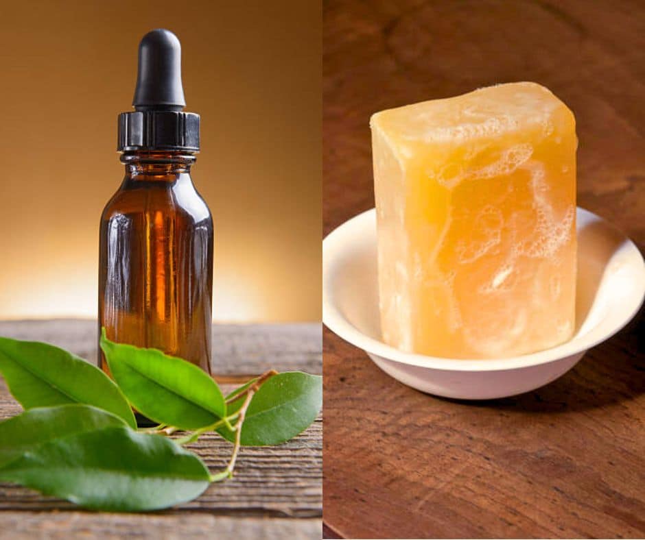 aceite de neem y jabón potásico