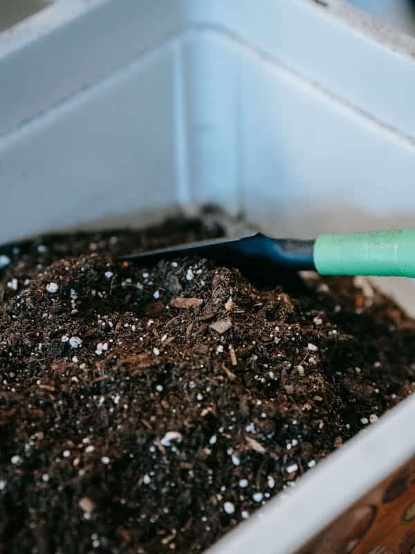 compost