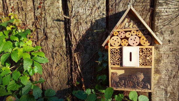 hôtel à insectes