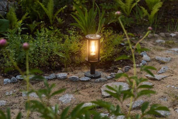 lumière de jardin pour attirer les insectes bénéfiques
