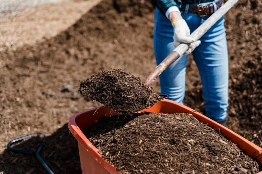 compost caliente