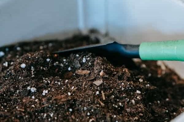 compost