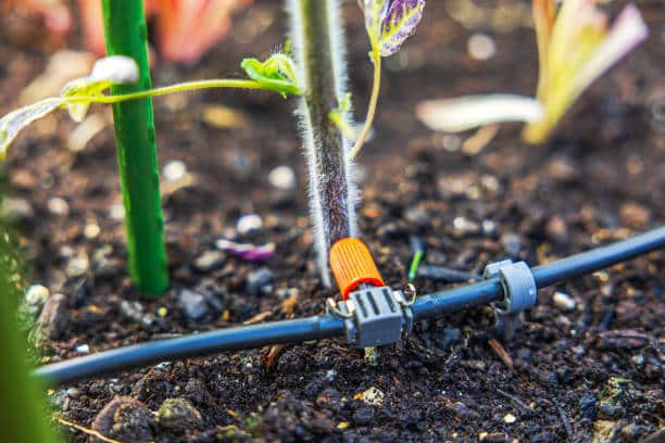 drip irrigation system