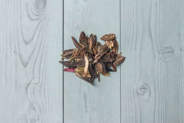 Semillas de flor de Zinnia sobre una mesa de madera blanca