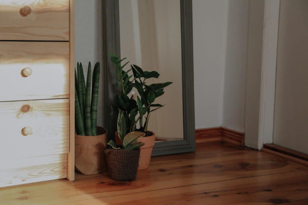 A calm indoor corner featuring potted plants, a mirror, and a wooden cabinet.